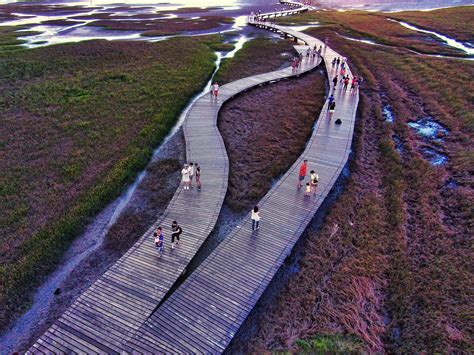 瓦斯爐對廁所|《台中》高美濕地遭疑 只蓋廁所不蓋餐廳